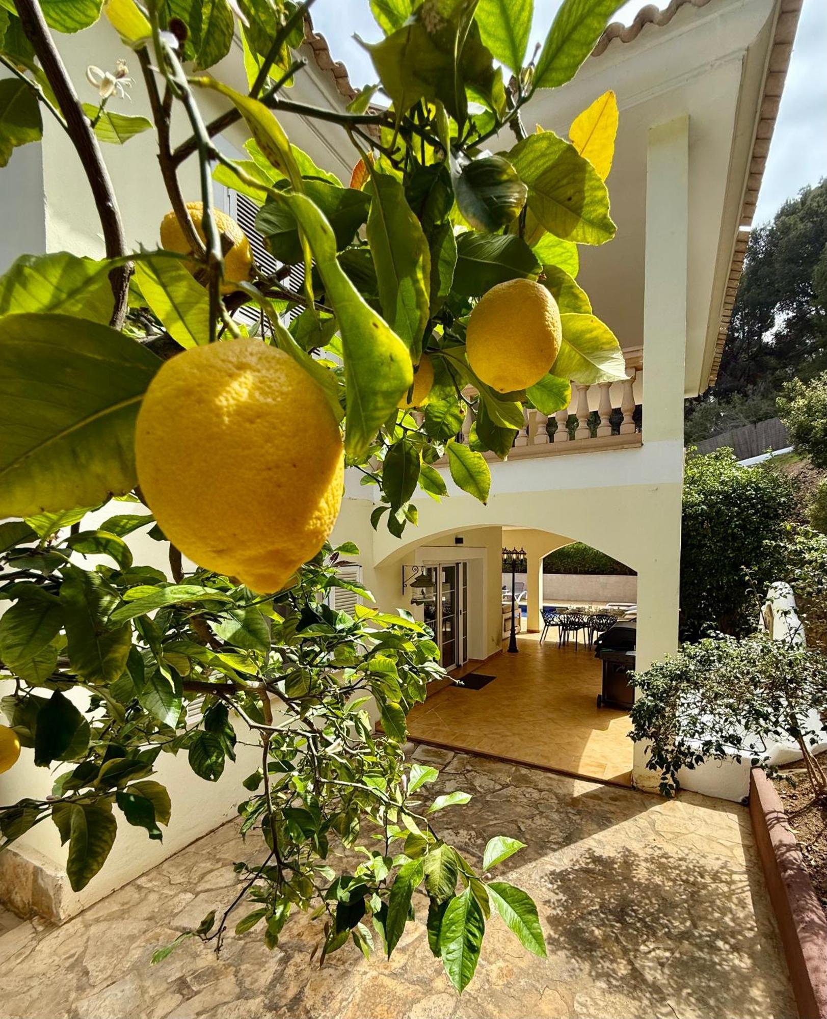 Exclusive Poolvilla Patricia - Camp De Mar